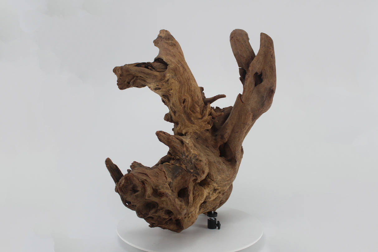 Tronco SHENMU para acuario