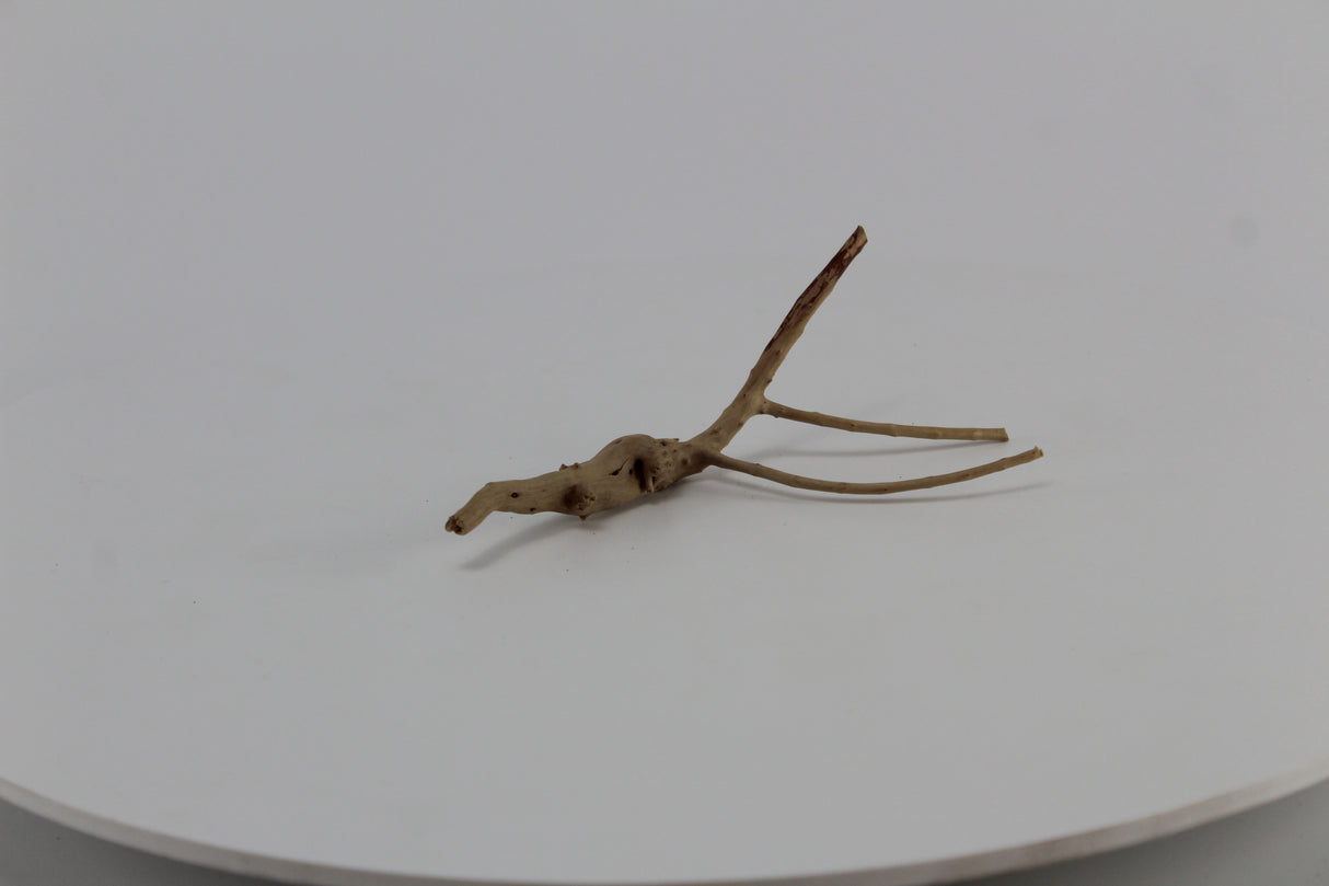 Raíz Slim Wood para acuario