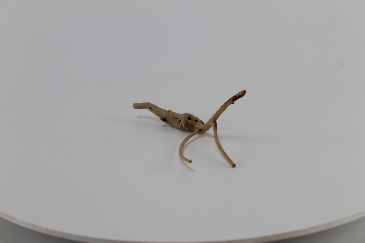 Raíz Slim Wood para acuario