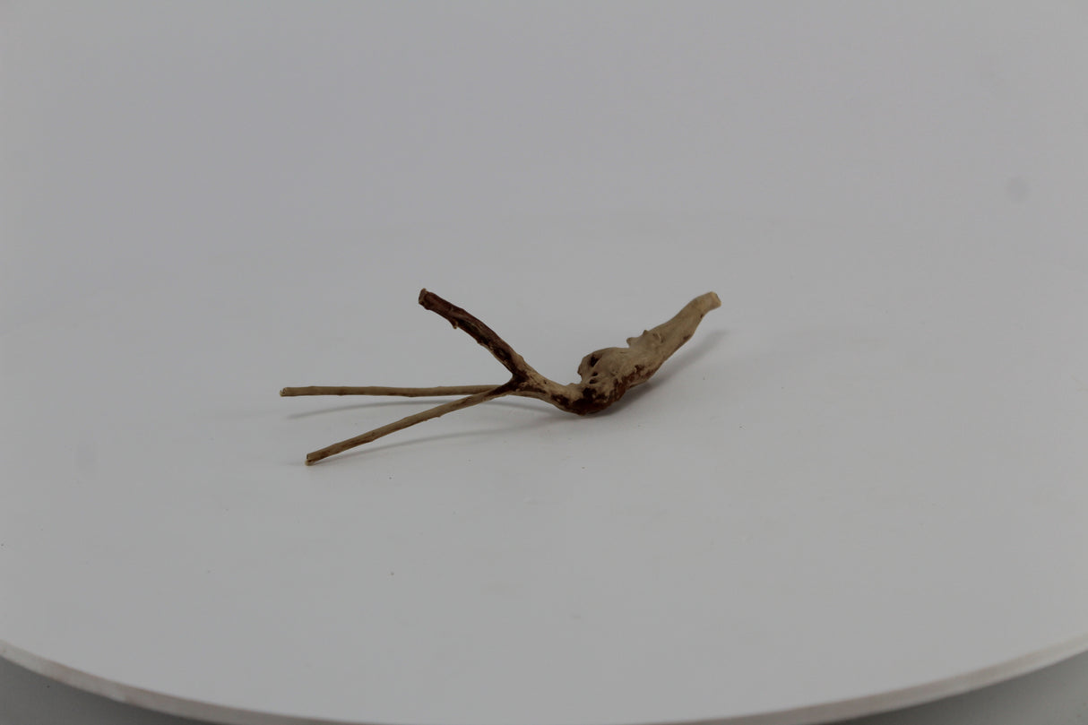 Raíz Slim Wood para acuario