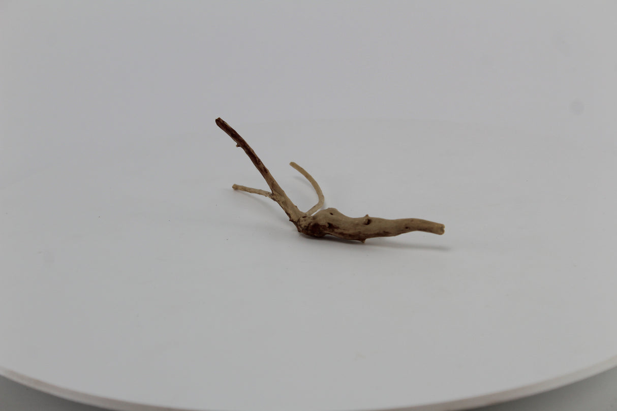 Raíz Slim Wood para acuario