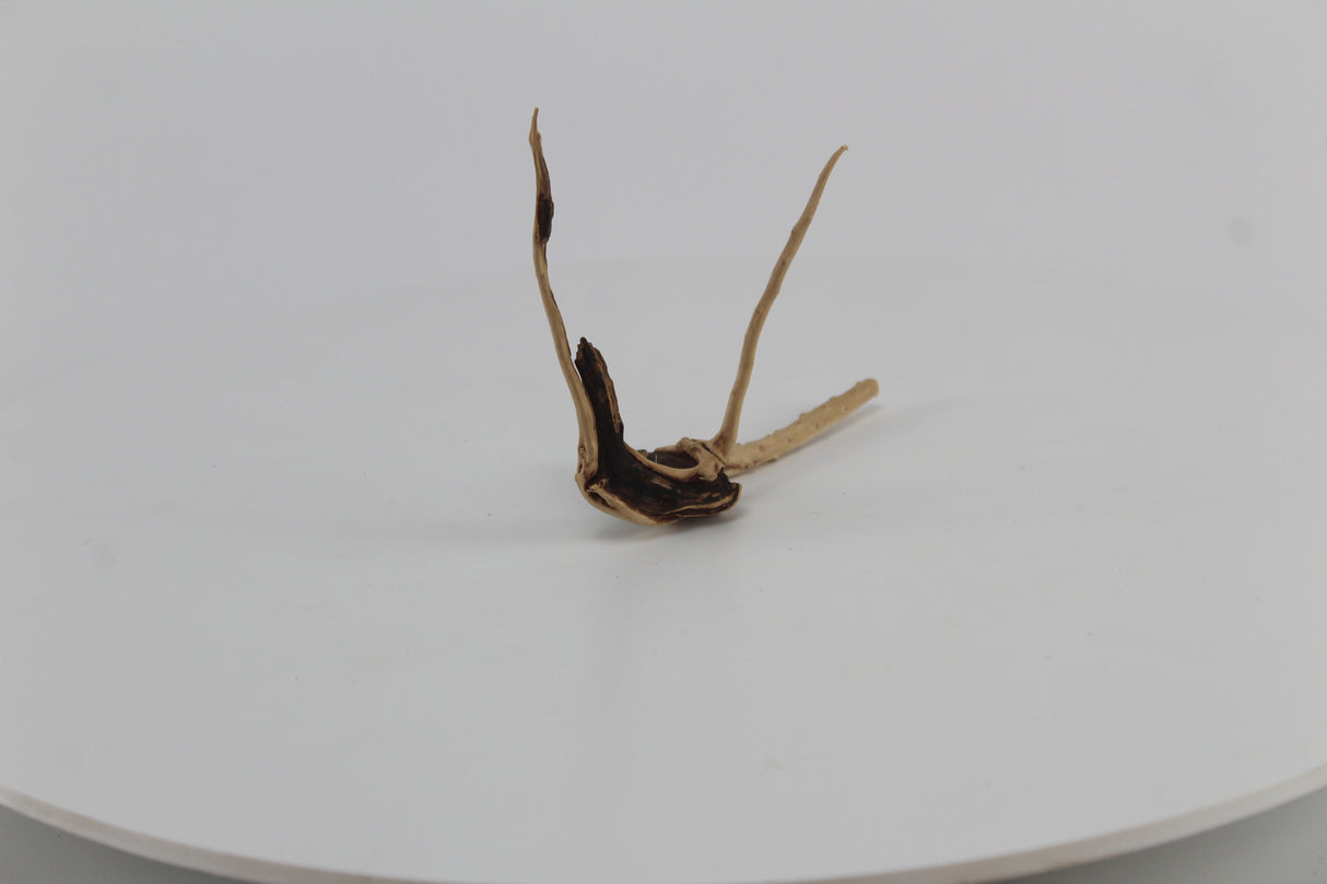 Raíz Slim Wood para acuario