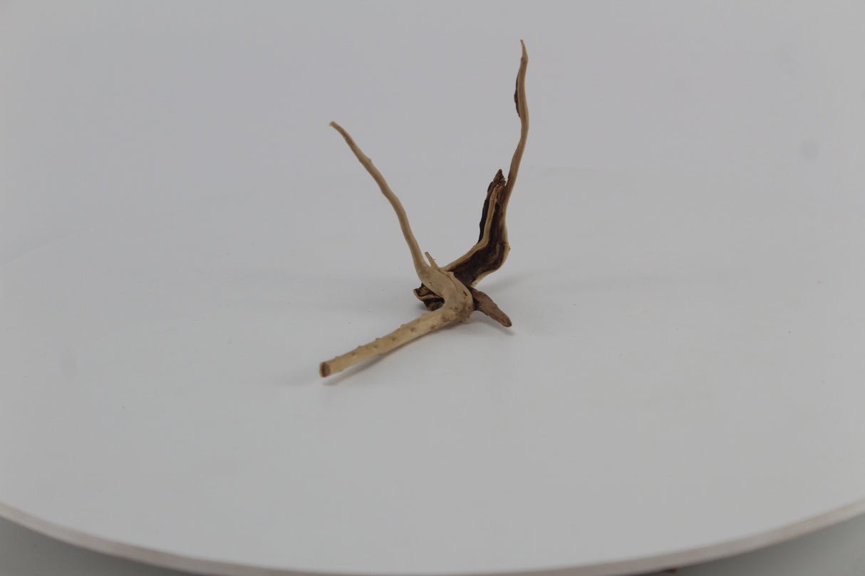 Raíz Slim Wood para acuario