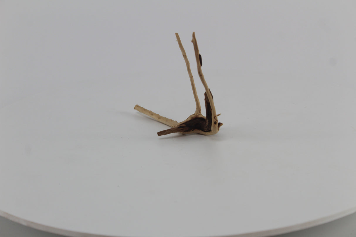 Raíz Slim Wood para acuario