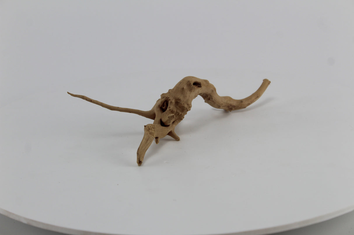 Raíz Slim Wood para acuario