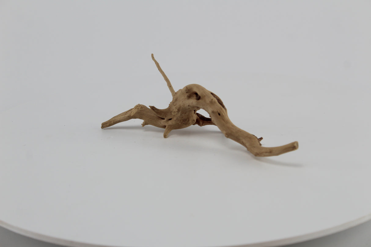 Raíz Slim Wood para acuario