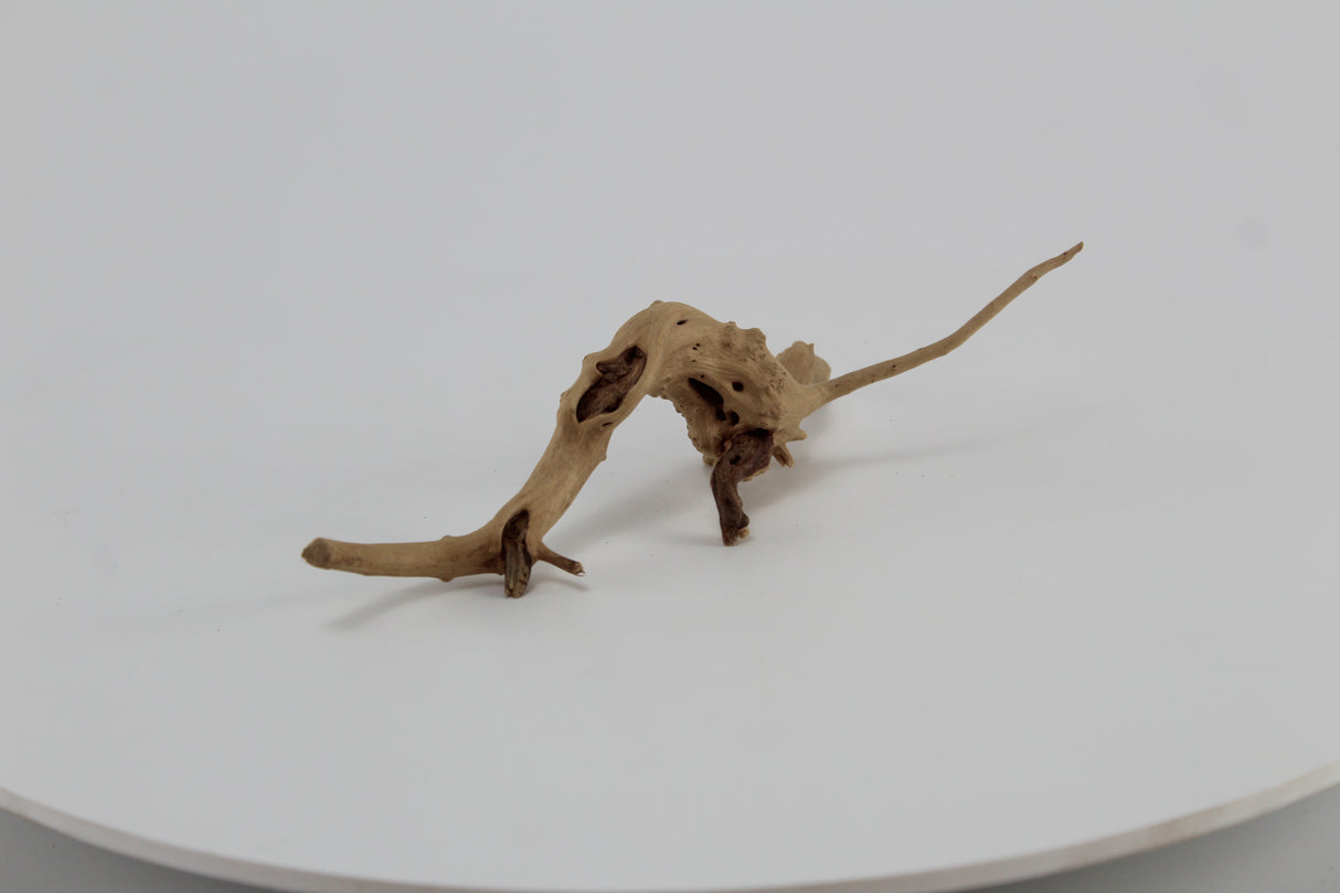 Raíz Slim Wood para acuario