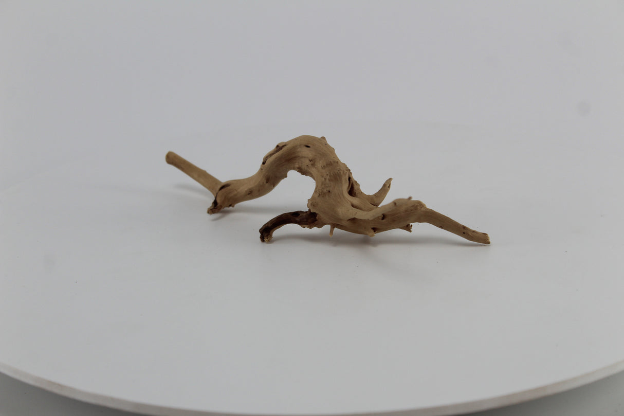 Raíz Slim Wood para acuario