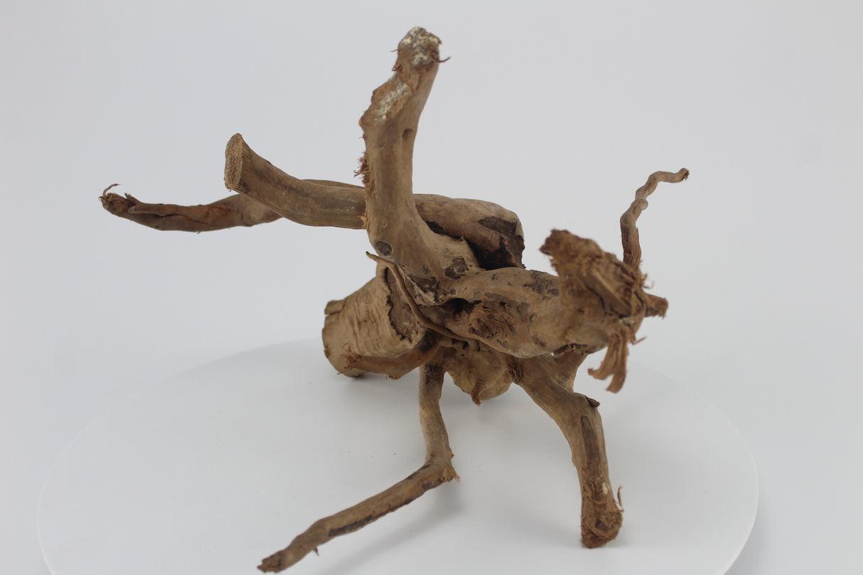 Raíz Spider para acuario