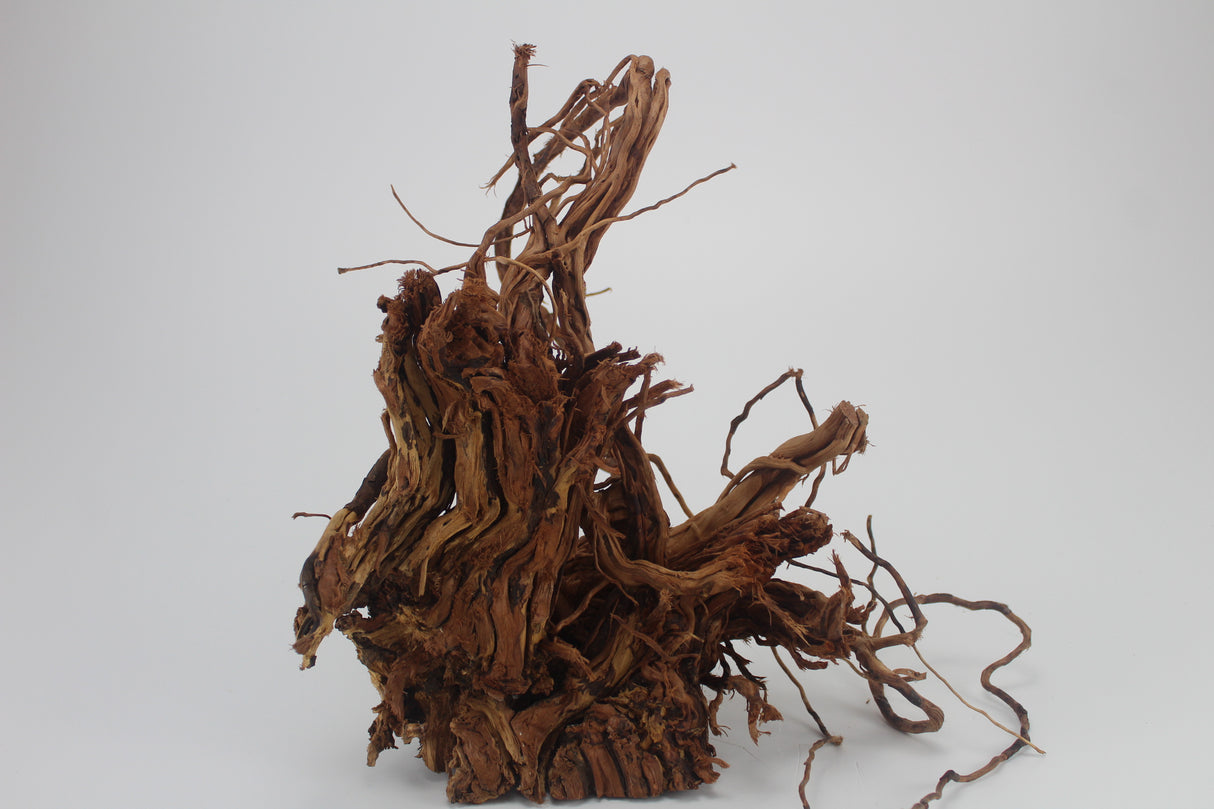 Raíz Twist Root para acuario