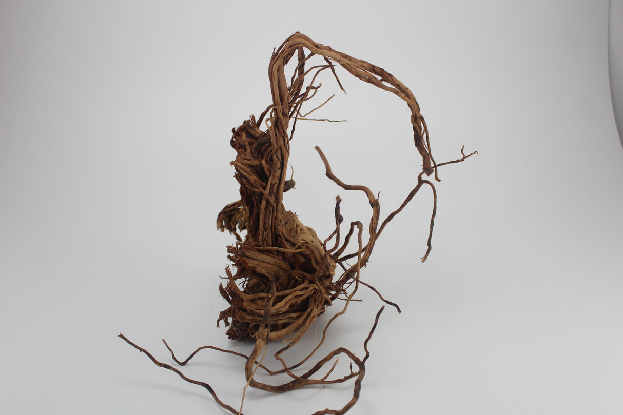 Raíz Twist Root para acuario