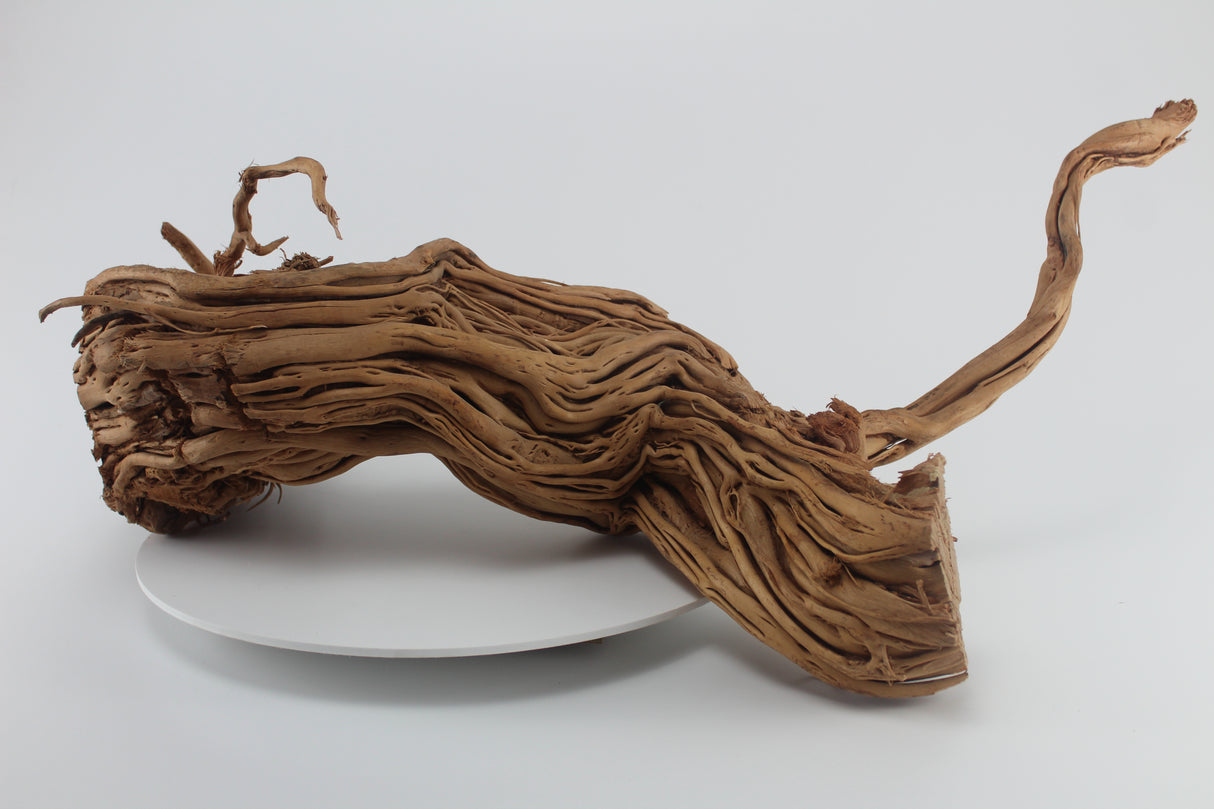 Raíz Twist Root para acuario