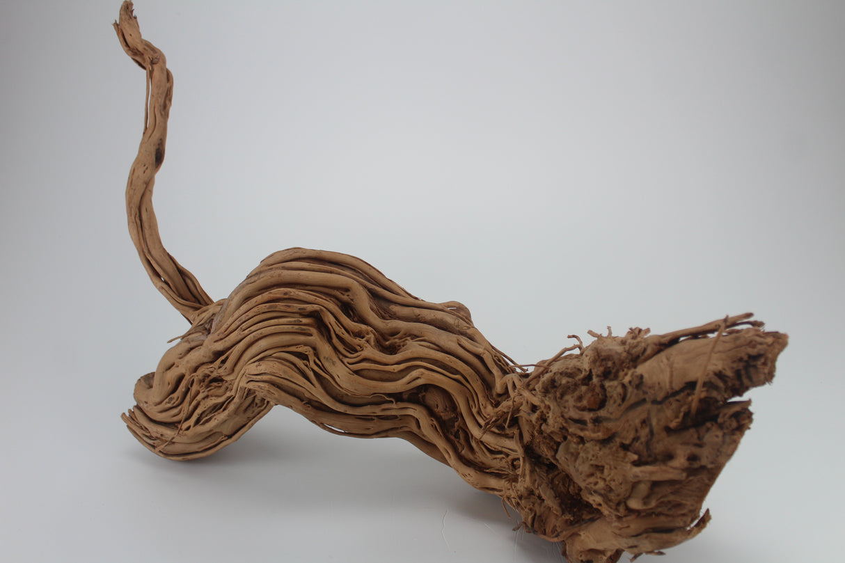 Raíz Twist Root para acuario