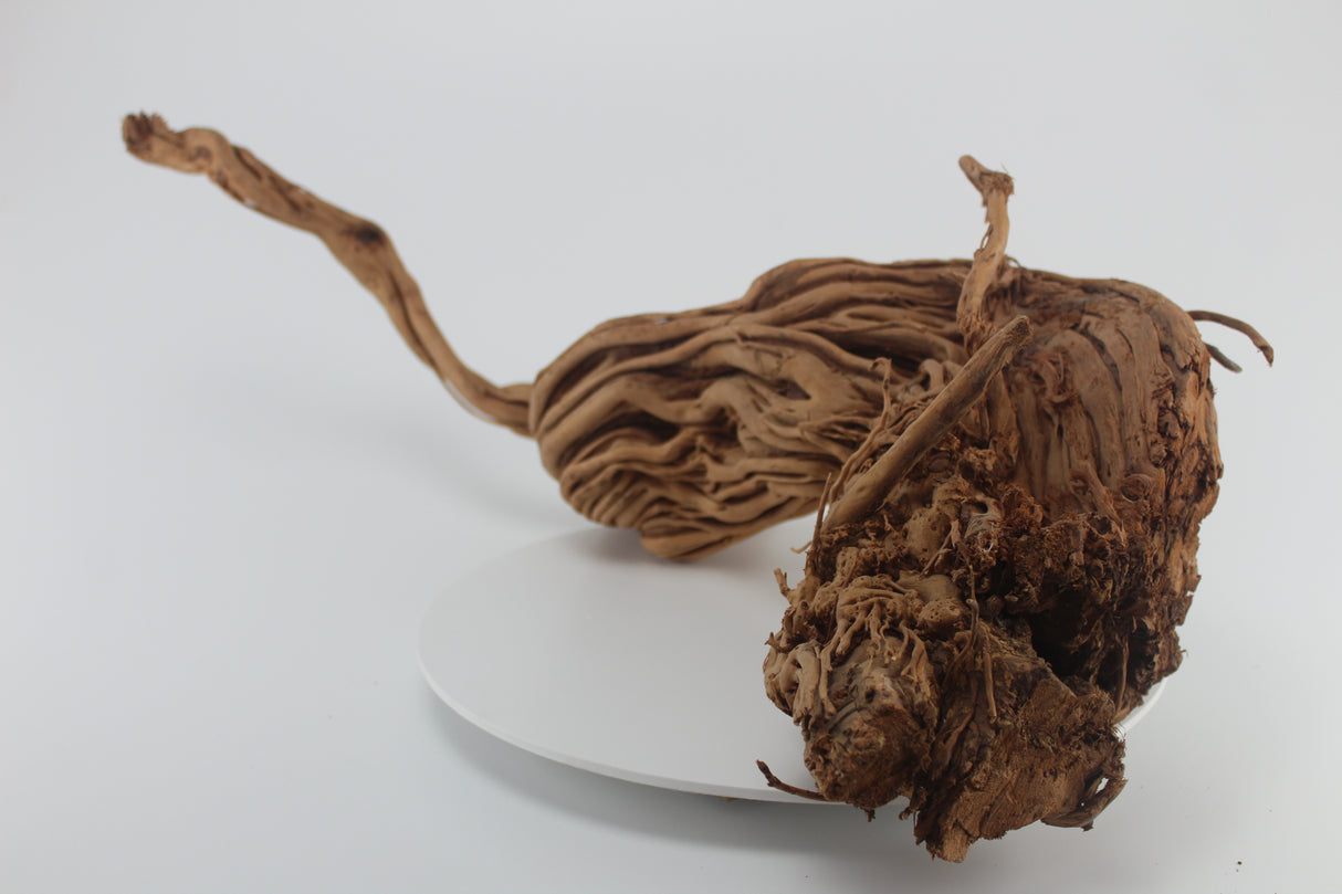 Raíz Twist Root para acuario