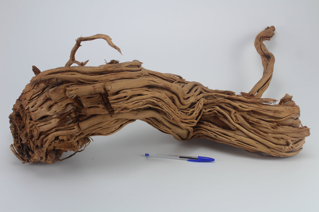 Raíz Twist Root para acuario