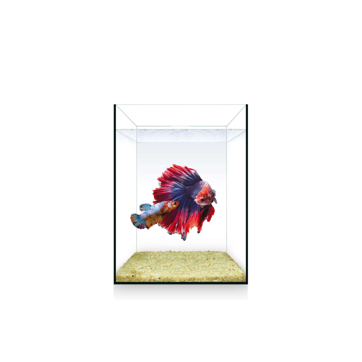 Urna NANO Nature (4 l)