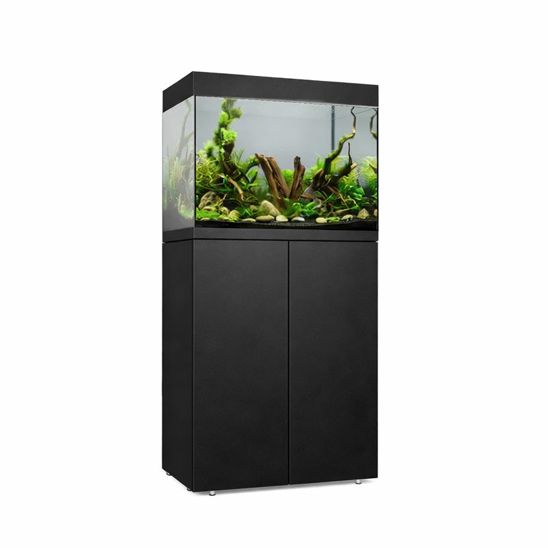 Vista frontal y lateral del acuario con mesa Waterbox Eden 30 en color negro