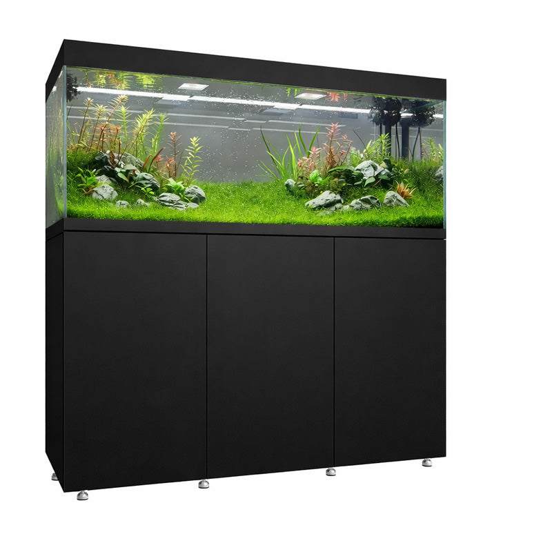 Vista frontal y lateral del acuario con mesa Waterbox Eden X 145 en color negro