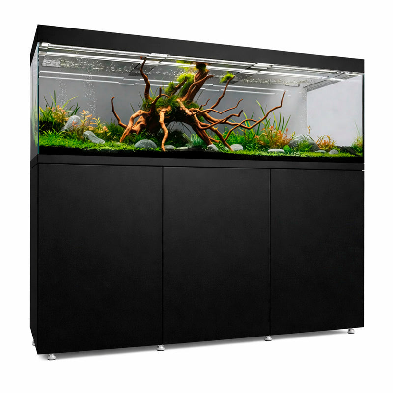 Vista frontal y lateral con mesa Waterbox Eden X 175.6 en color negro