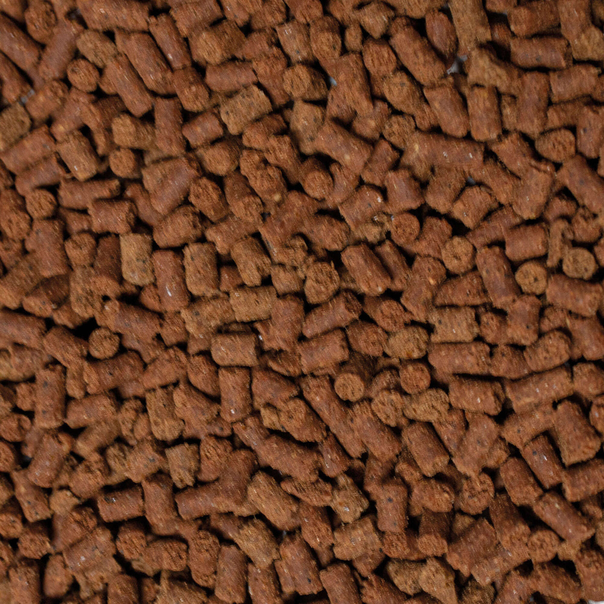 Pelets de Axolotl alimento para ajolotes