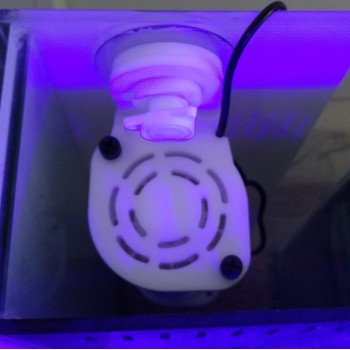 Detalle de la parte superior