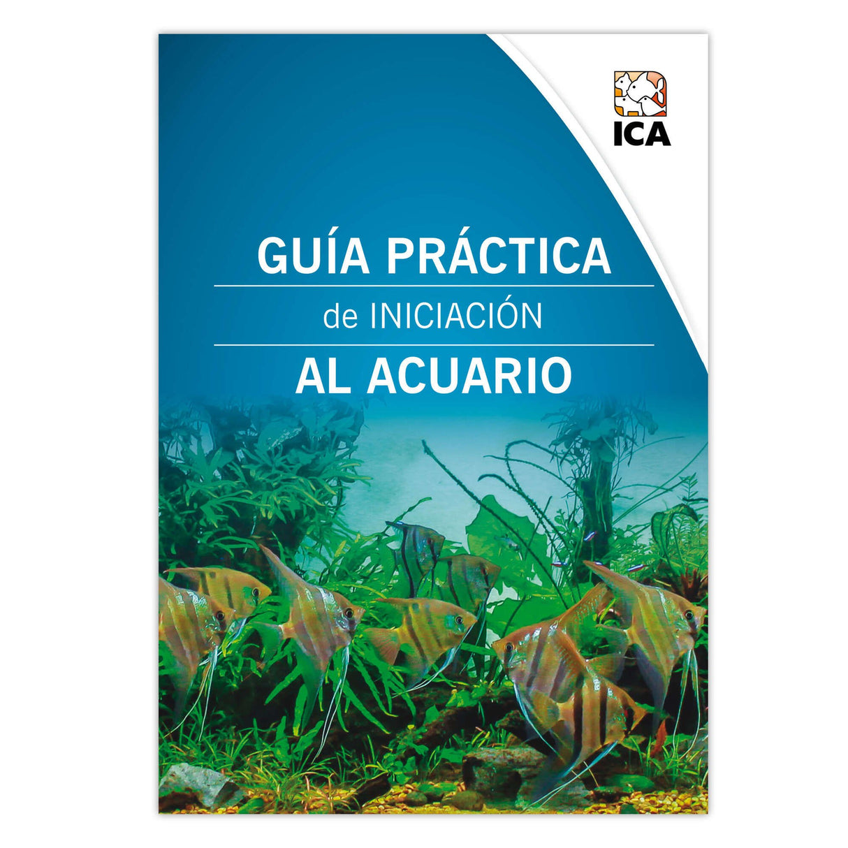 Guía práctica de iniciación al acuario