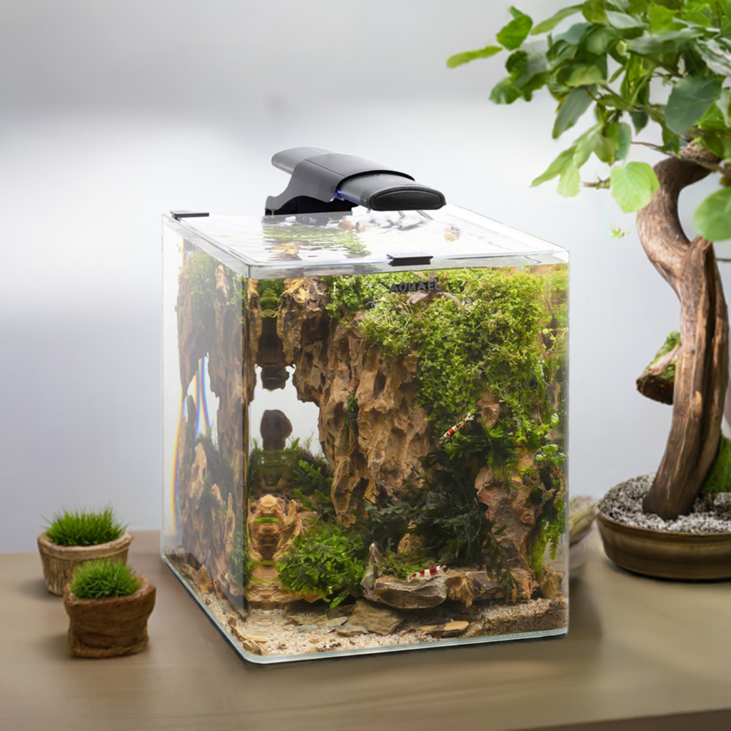 Aquael OPTIBENT Set 20 litros en color negro ya plantado