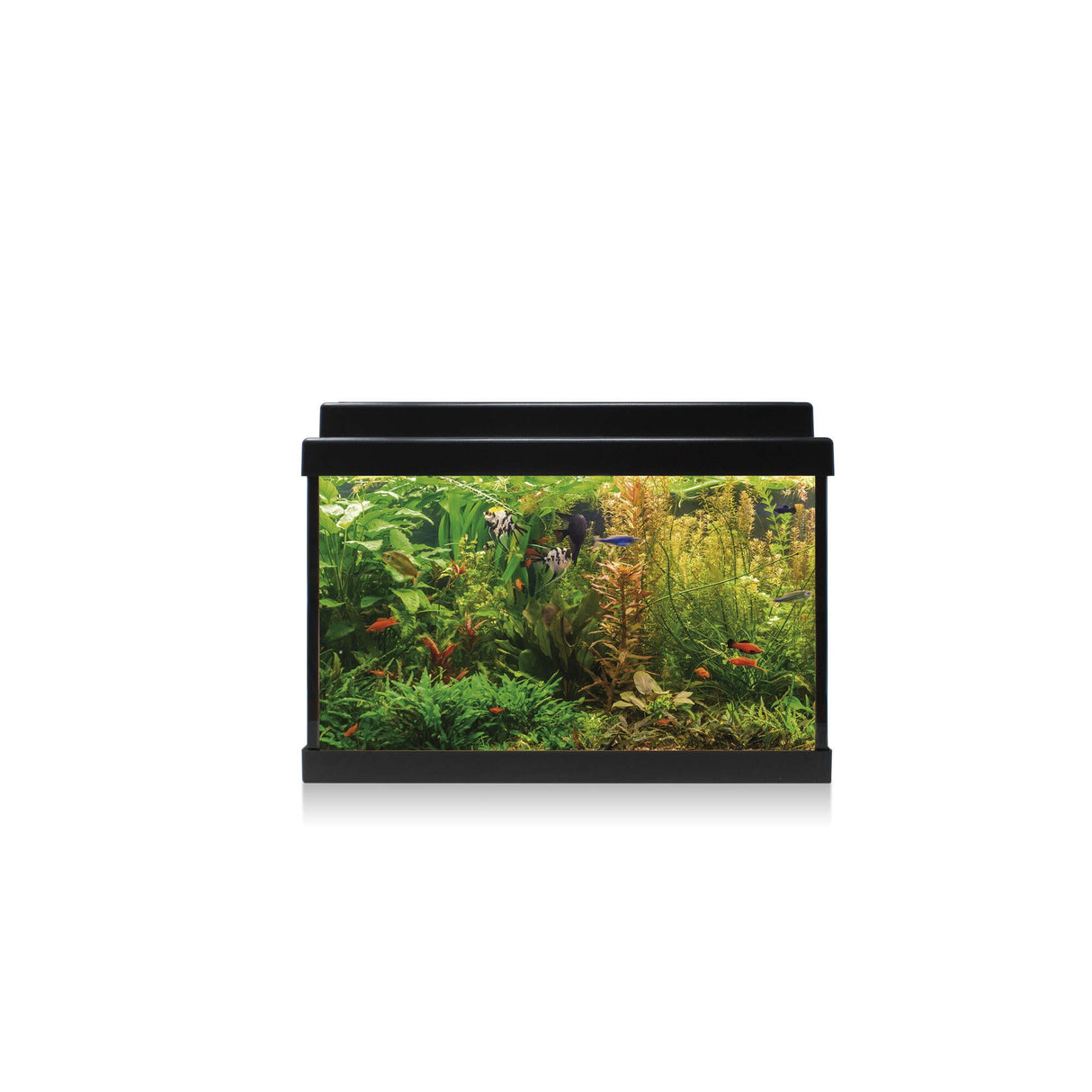 acuario aqua led 20 llitros negro