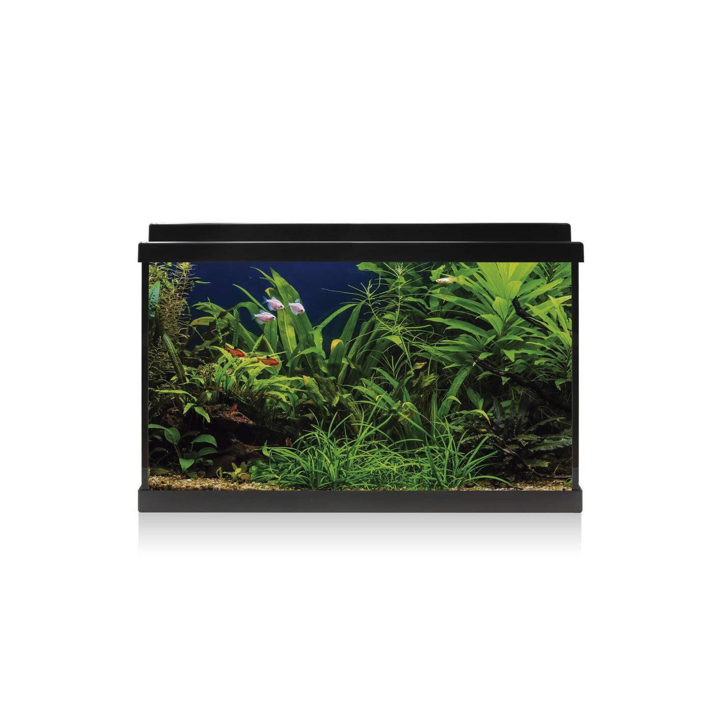 acuario de color negro kit aqua led 64 litros