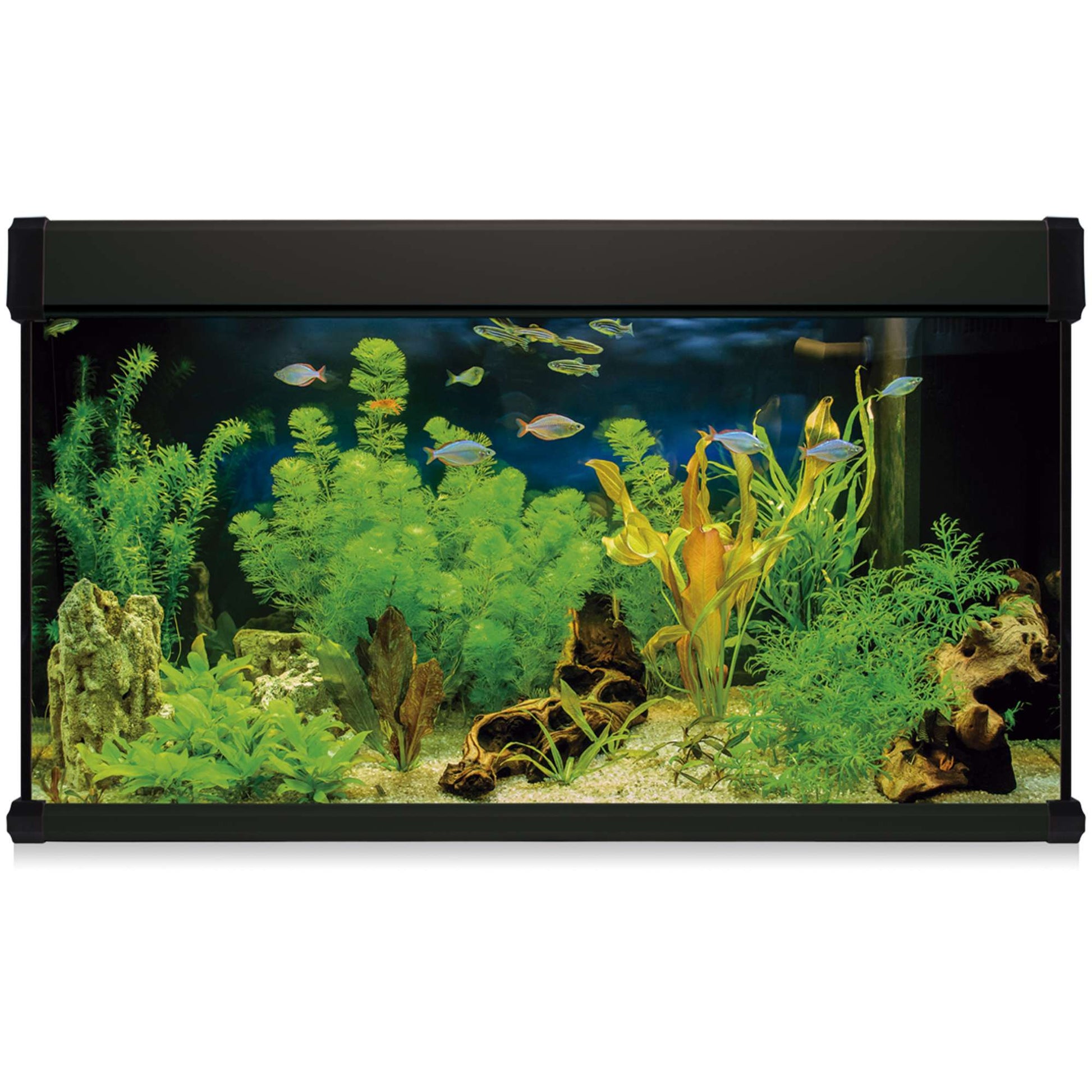 acuario kit aqua lux pro de 300 litros de color negro