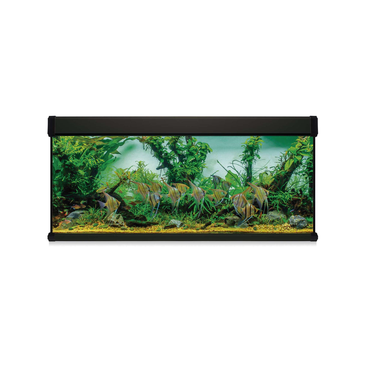 acuario kit aqua lux pro de 450 litros negro