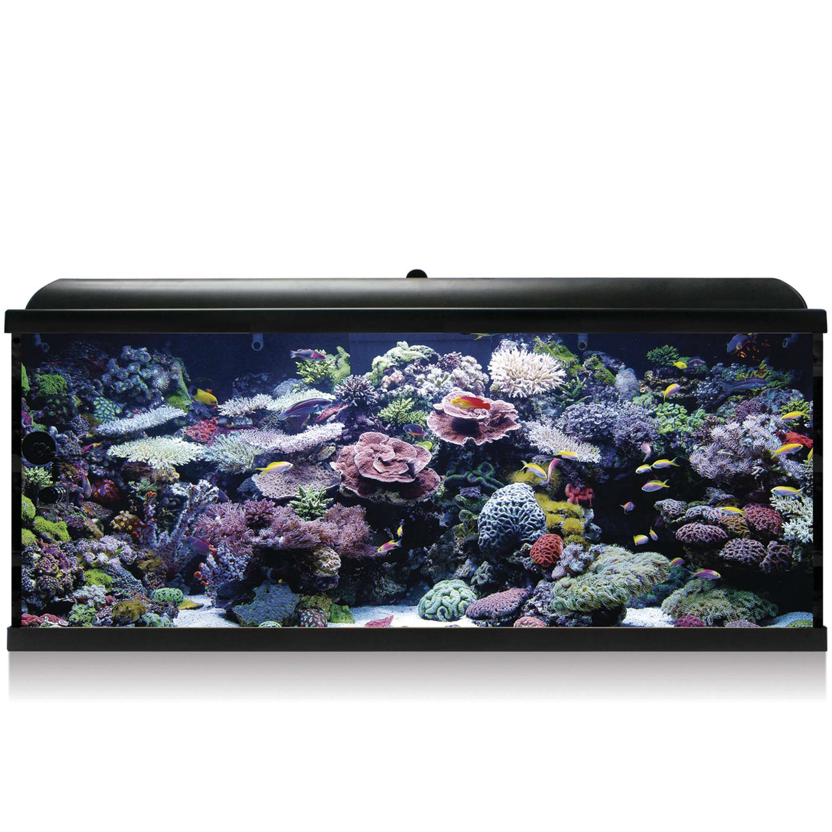 Kit Hydra 240 para agua salada