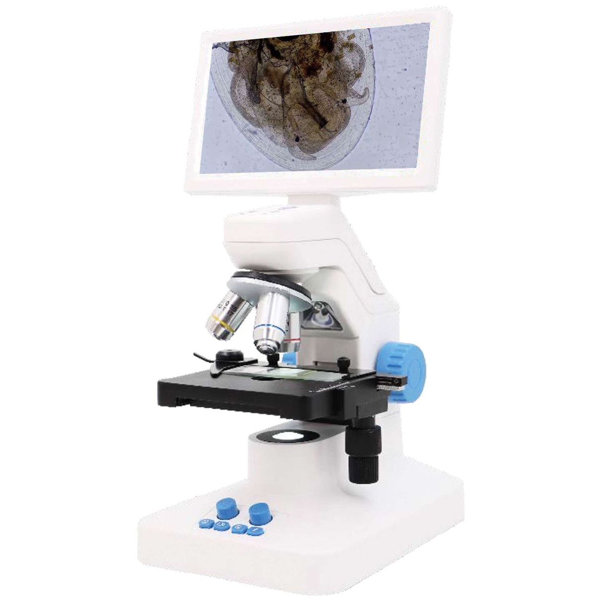 Microscopio con pantalla digital 7″ - MPD1