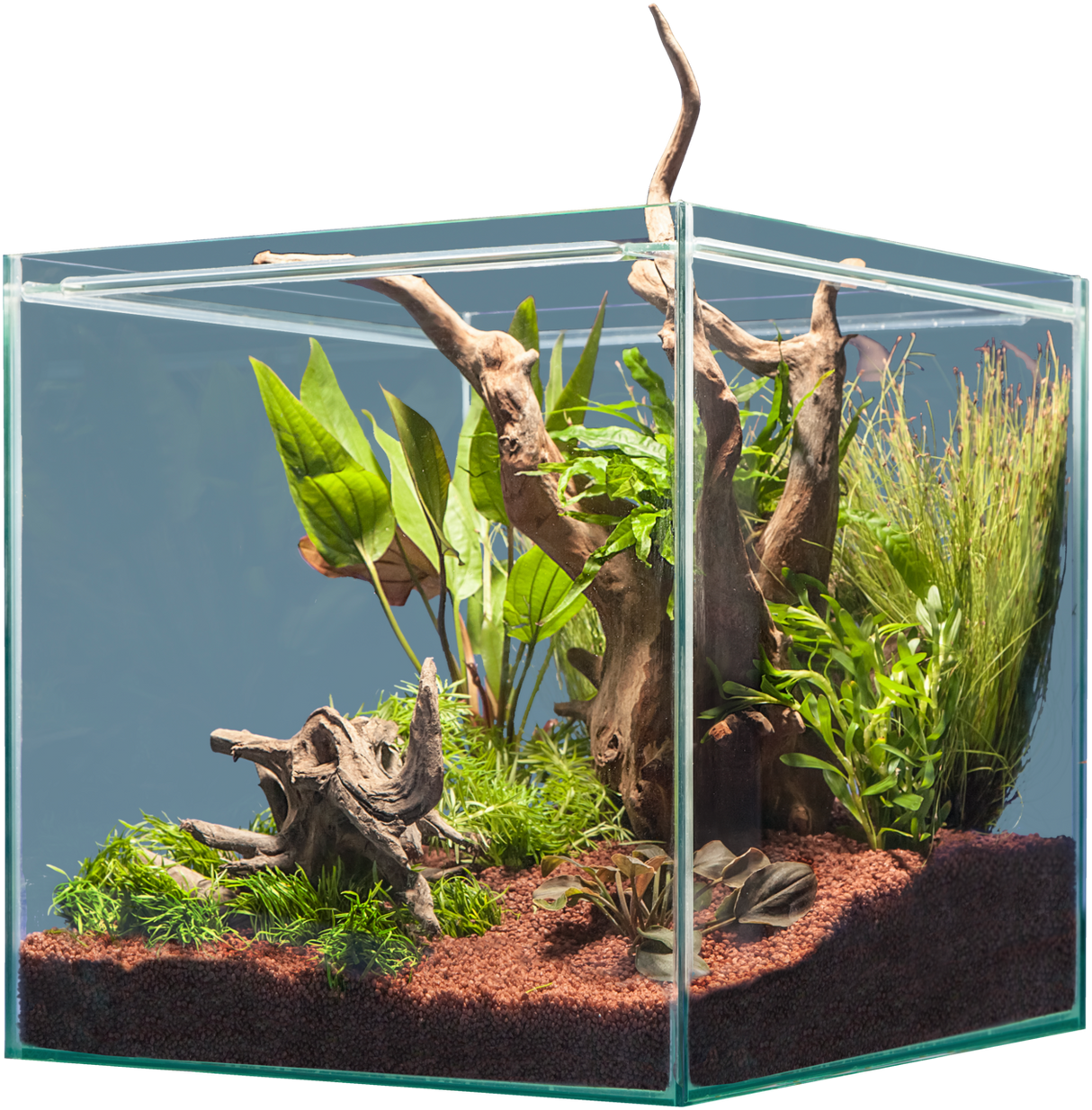 sera Scaper Cube 64 L