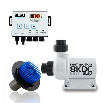 Bomba Reef Motion 8 KDC
