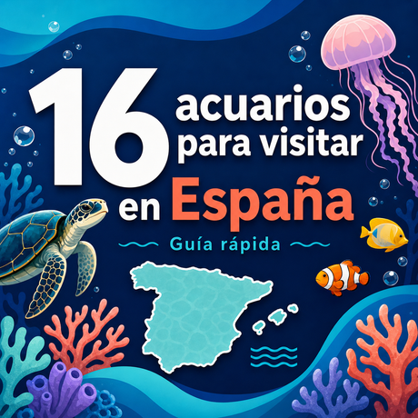 16 acuarios para visitar en España