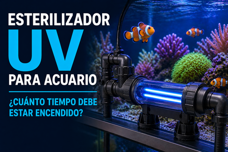 ¿Cuánto tiempo debe estar encendida la luz UV en el acuario?