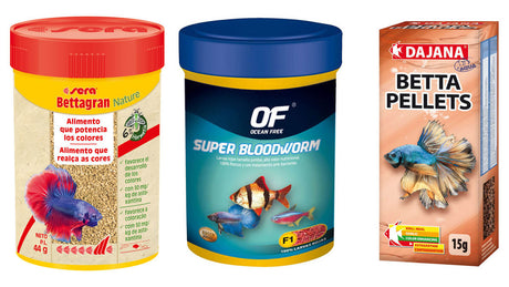 Guía de alimentación para peces Betta