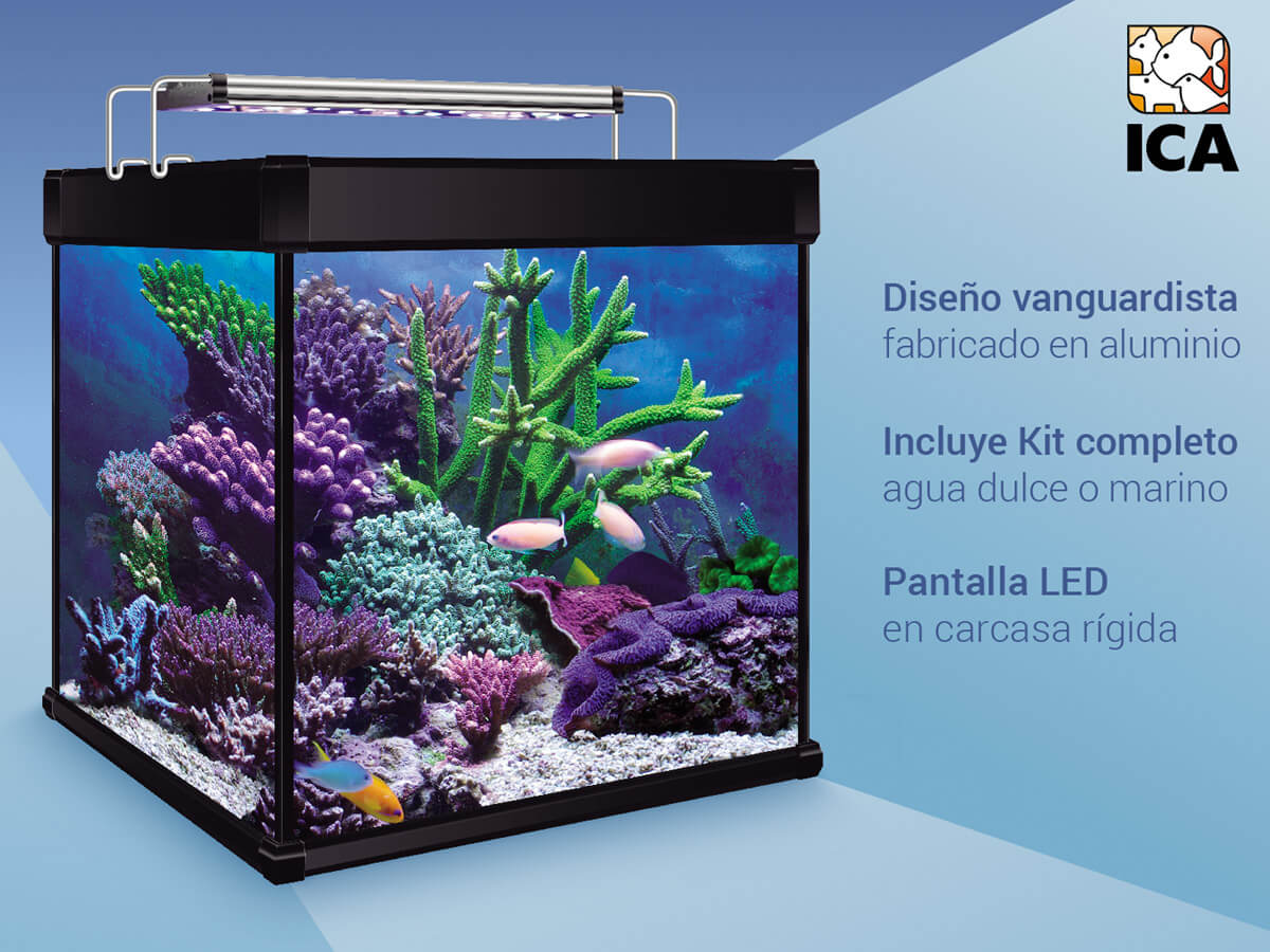 comprar acuario cubo