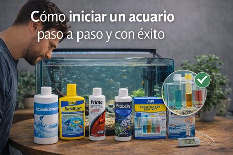 Poner en marcha un acuario paso a paso