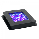 Pantallas de iluminación con bluetooth para acuarios Fluval Sea Marine Spectrum
