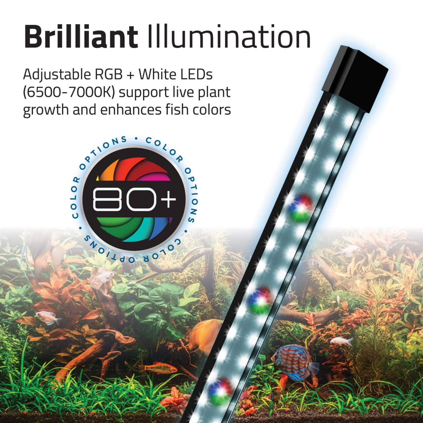 Detalle de las LEDs del acuario fluval flex 2.0