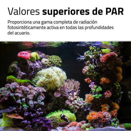 Pantalla Fluval Reef 4.0 LED
