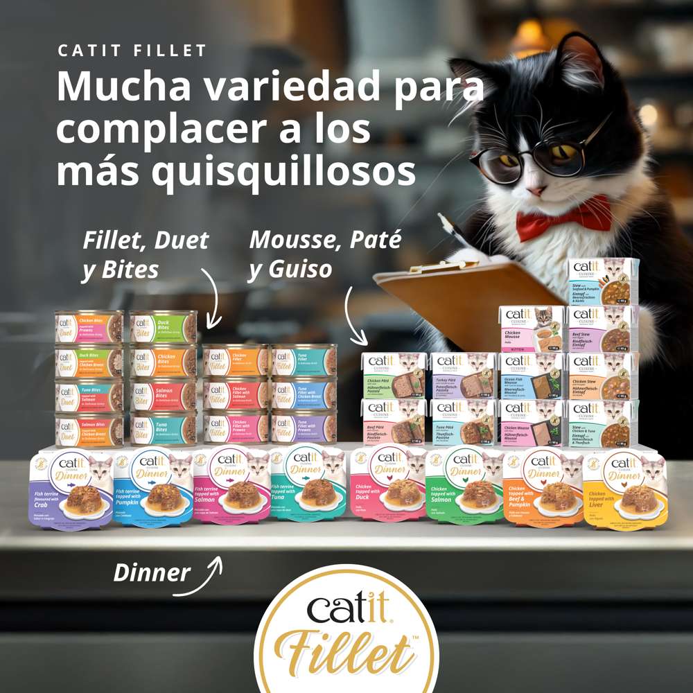 Pollo desmenuzado para gatos Catit Cuisine Fillet