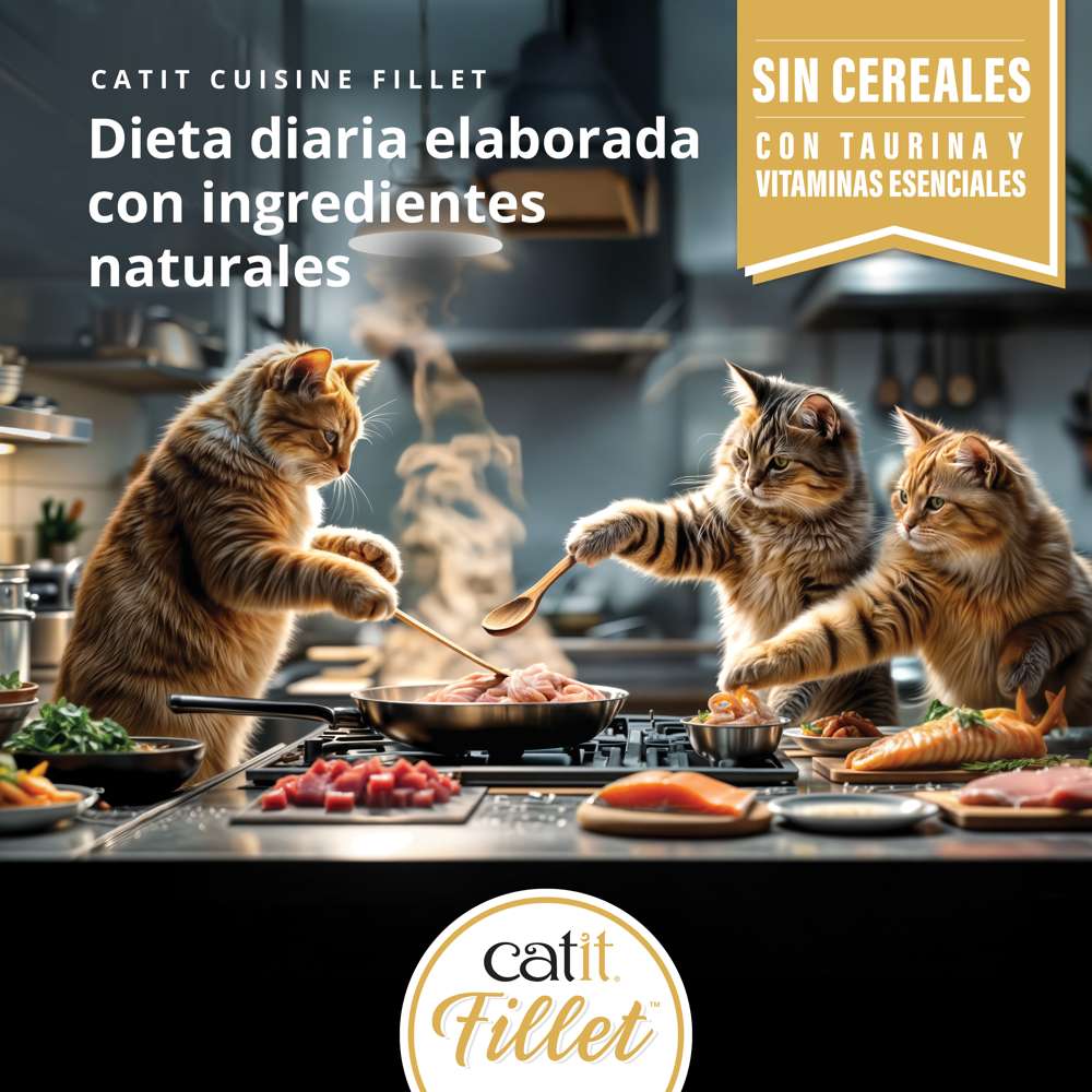 Pollo desmenuzado para gatos Catit Cuisine Fillet