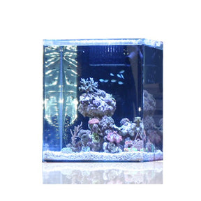 Aquascaping en open reef