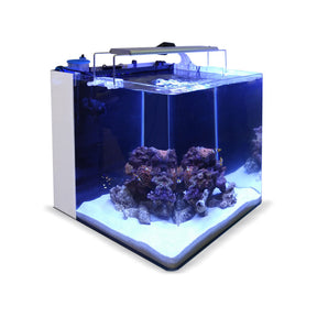 Acuario All in One 80