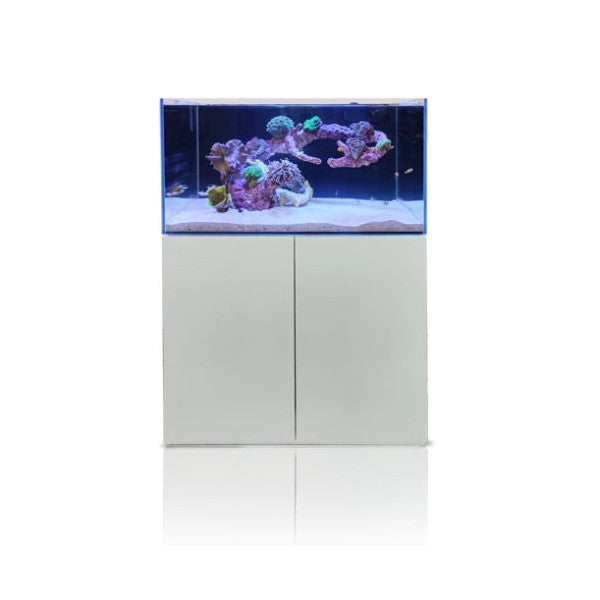 Vista frontal Gran Cubic  SUPER REEF de color blanco cerrado