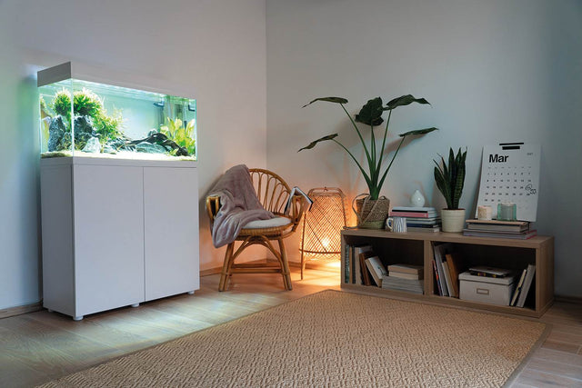 Acuario Aquael OPTI SET de 200 llitros en una habitación