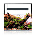 Acuario Aquael ULTRASCAPE SET DIAMOND FOREST 60